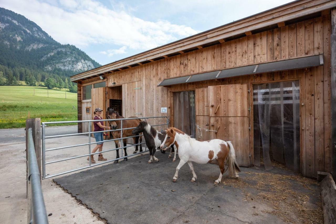 Narzenhof Wellness Chalets, Familien & Luxus Apartments Am Bauernhof Sankt Johann in Tirol Exterior foto