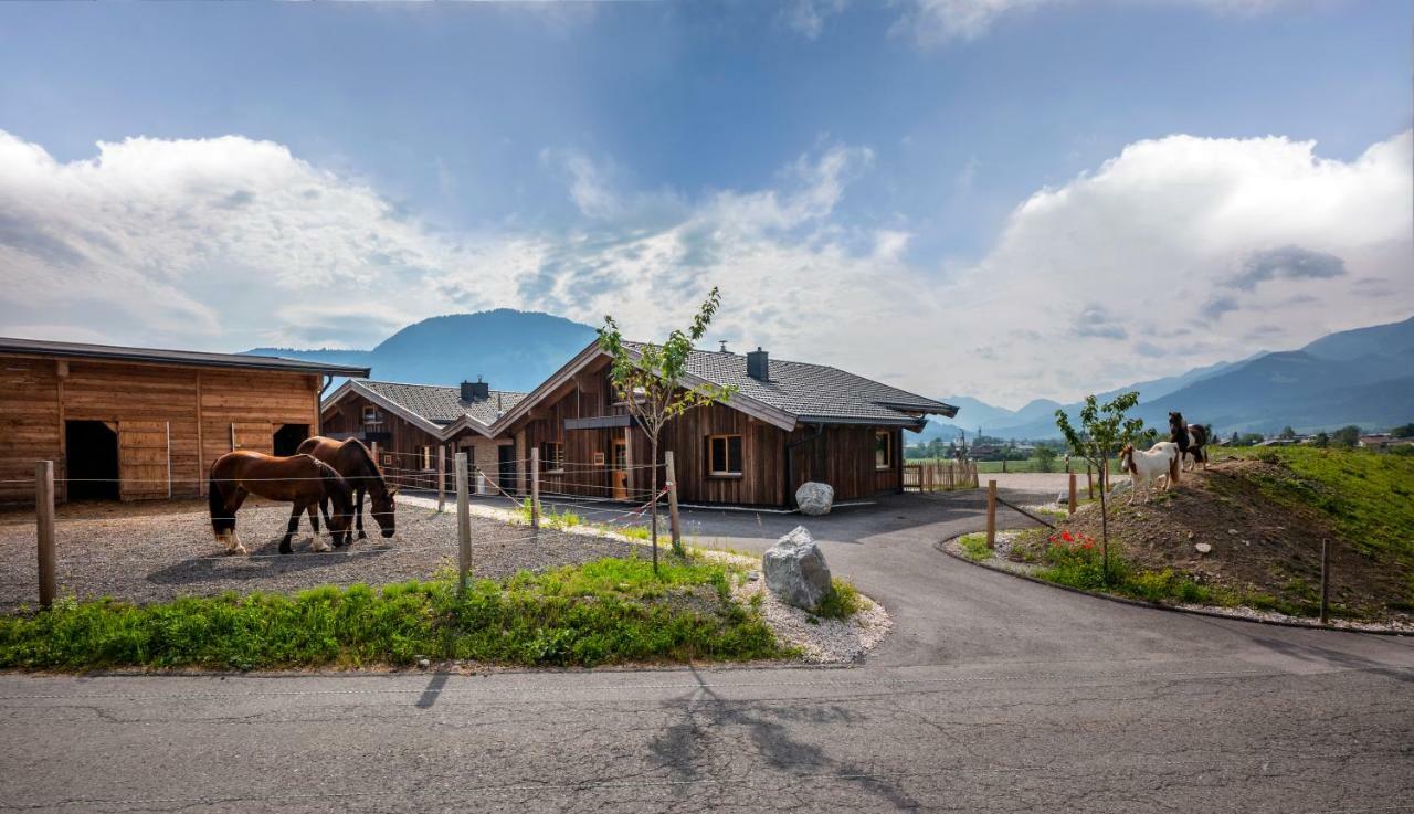 Narzenhof Wellness Chalets, Familien & Luxus Apartments Am Bauernhof Sankt Johann in Tirol Exterior foto